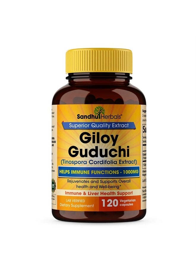 SANDHUHERBALS - Giloy Guduchi Tinospora Cordifolia Supports Immune Health Vegetarian Capsules 120 Ct - Image 1