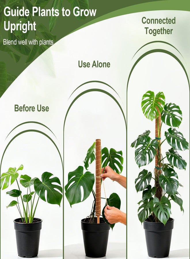 WAENLIR 4 Pack 16 inch Moss Pole for Monstera & Climbing Plants - Coco Coir Plant Support with Water-Retaining Cotton Core, Seamless Stackable Wooden Stakes with Anti-Slip Ring, Plant Ties Included - Image 3