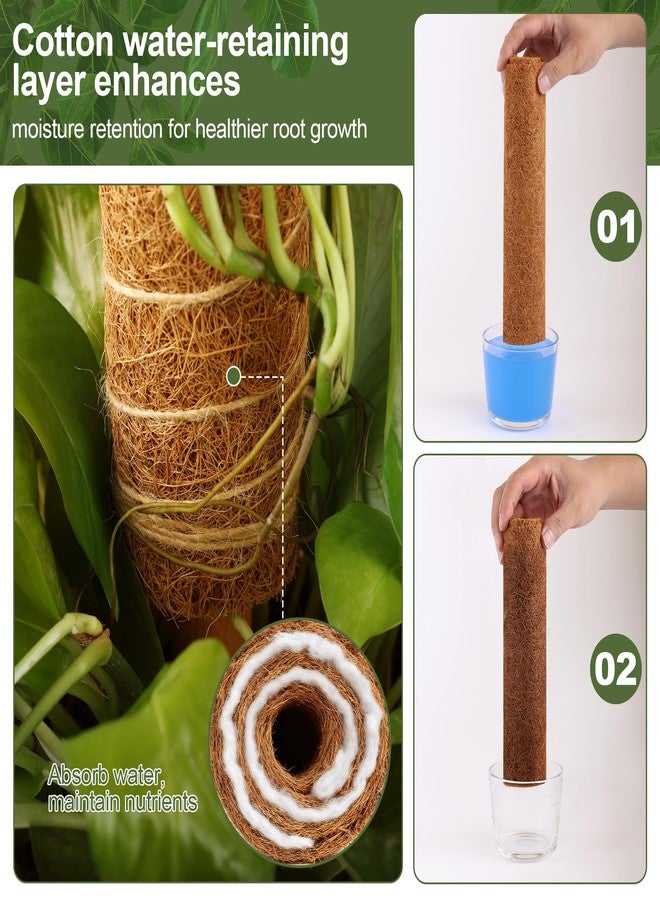 WAENLIR 4 Pack 16 inch Moss Pole for Monstera & Climbing Plants - Coco Coir Plant Support with Water-Retaining Cotton Core, Seamless Stackable Wooden Stakes with Anti-Slip Ring, Plant Ties Included - Image 5