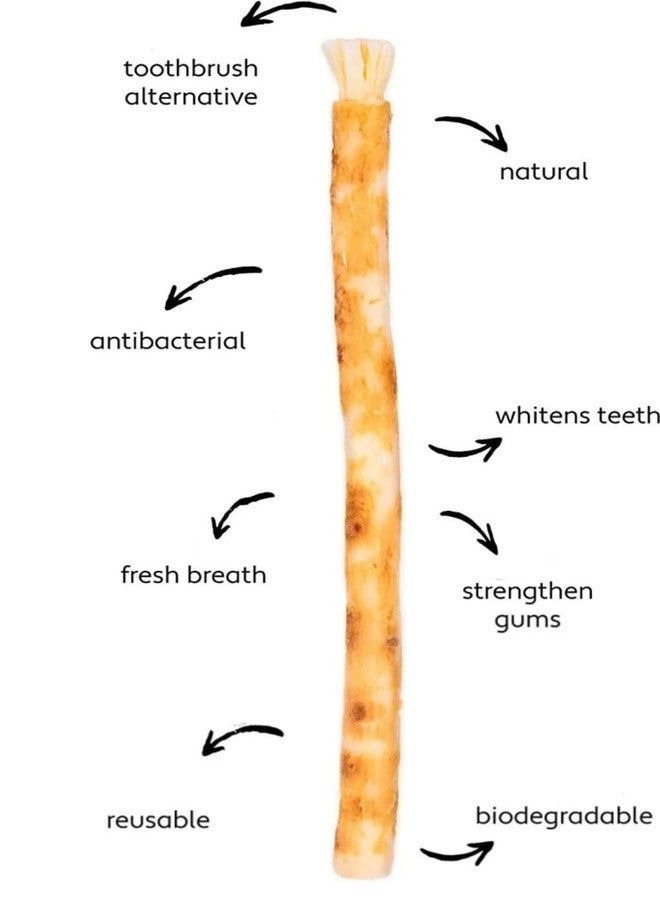 Miswak tooth brush/Datun/Pack of 5 - Image 3