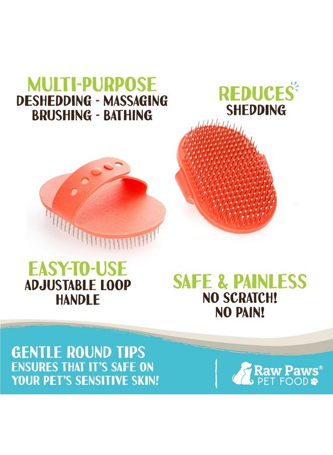Raw Paws Grooming Brush  Rubber Tipped Pin Brush For Dogs And Cats, Shedding Brush For Short And Long Hair - Image 2