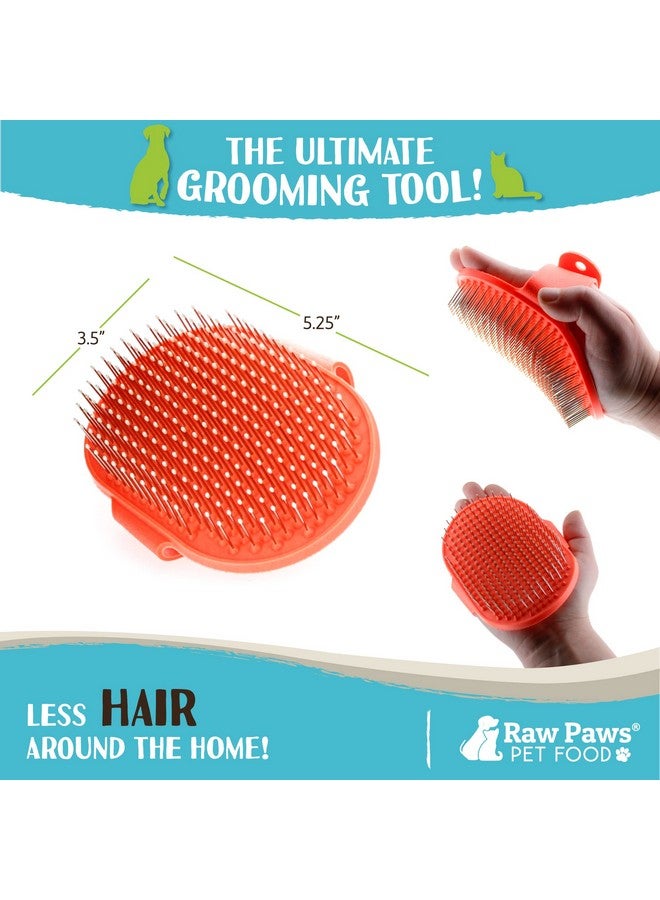 Raw Paws Grooming Brush  Rubber Tipped Pin Brush For Dogs And Cats, Shedding Brush For Short And Long Hair - Image 3