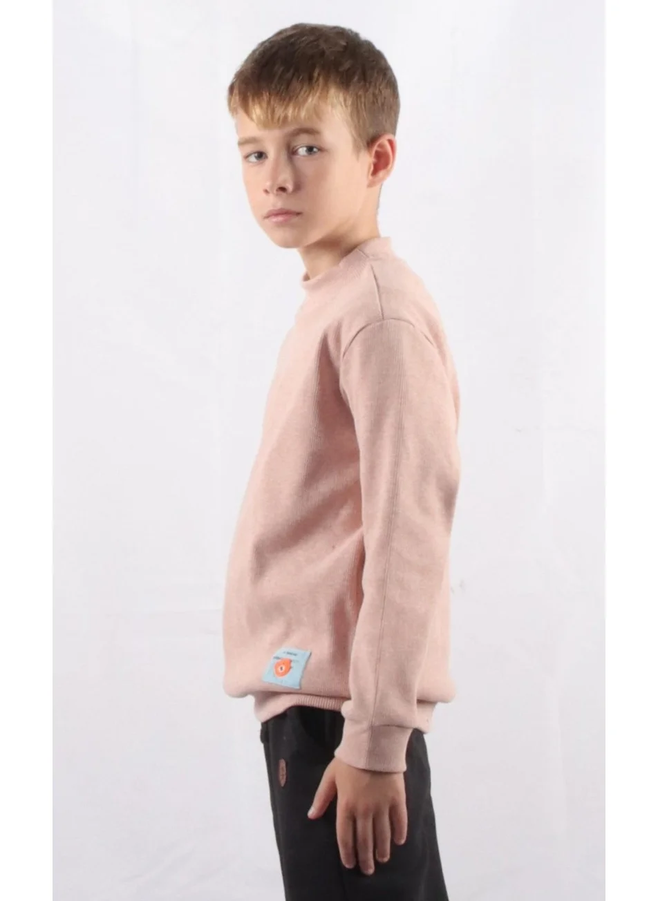 Alexander Gardi Kids Sweatshirt (C22-91700)