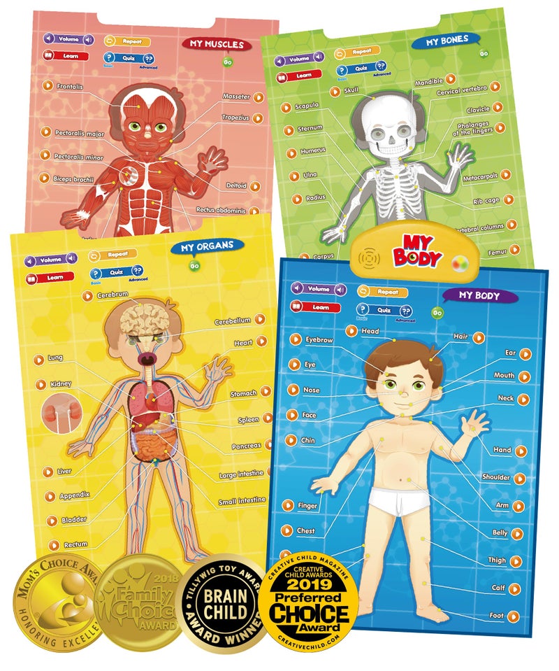 BEST LEARNING iPoster My Body  Interactive Educational Human Anatomy Talking Toy for Kids Ages 512 to Learn Body Parts Organs Muscles and Bones Through Fun Sound and Quiz Modes - Image 2