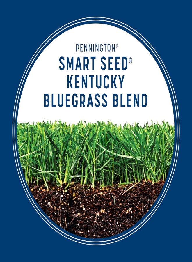 Pennington Smart Seed Kentucky Blue Grass Mix 3 lb - Image 5