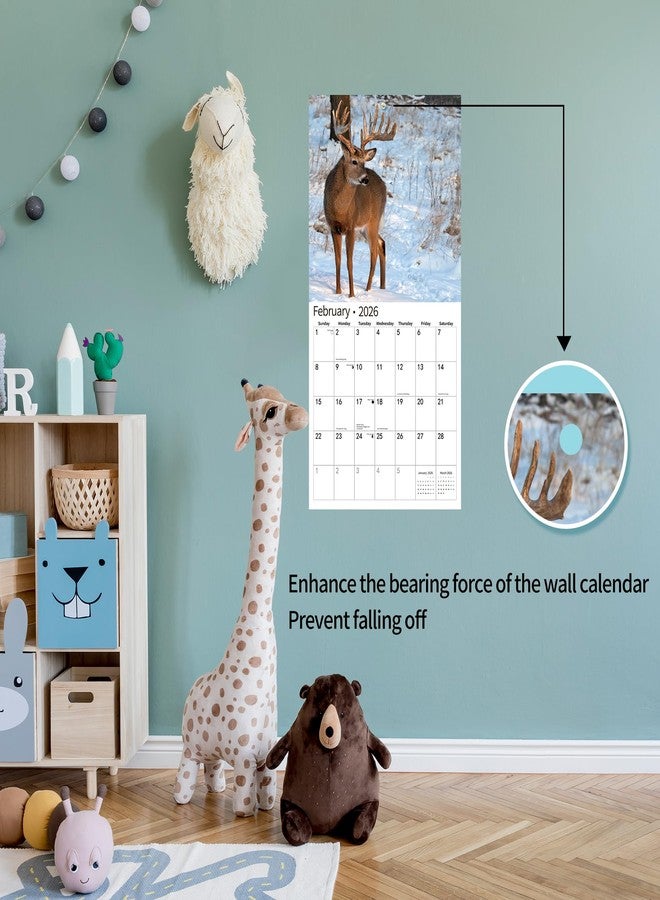 windrio 2026 Wall Calendar,Calendar 2026, November 2025 - December 2026, Wall Calendar Whitetail Deer, 12" x 24" Opened,Full Page Months Thick & Sturdy Paper for Gift Perfect Calendar Organizing & Planning - Image 4