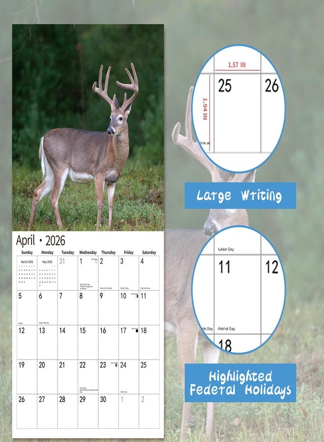 windrio 2026 Wall Calendar,Calendar 2026, November 2025 - December 2026, Wall Calendar Whitetail Deer, 12" x 24" Opened,Full Page Months Thick & Sturdy Paper for Gift Perfect Calendar Organizing & Planning - Image 3