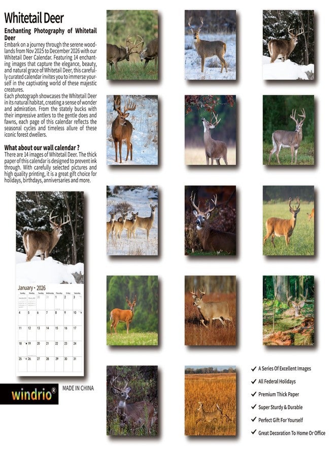 windrio 2026 Wall Calendar,Calendar 2026, November 2025 - December 2026, Wall Calendar Whitetail Deer, 12" x 24" Opened,Full Page Months Thick & Sturdy Paper for Gift Perfect Calendar Organizing & Planning - Image 2