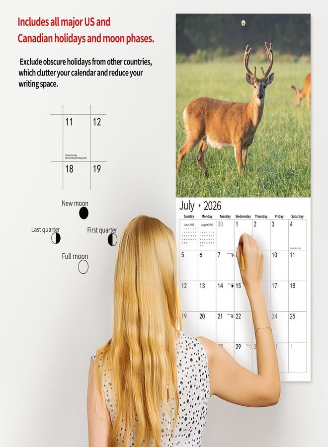 windrio 2026 Wall Calendar,Calendar 2026, November 2025 - December 2026, Wall Calendar Whitetail Deer, 12" x 24" Opened,Full Page Months Thick & Sturdy Paper for Gift Perfect Calendar Organizing & Planning - Image 5