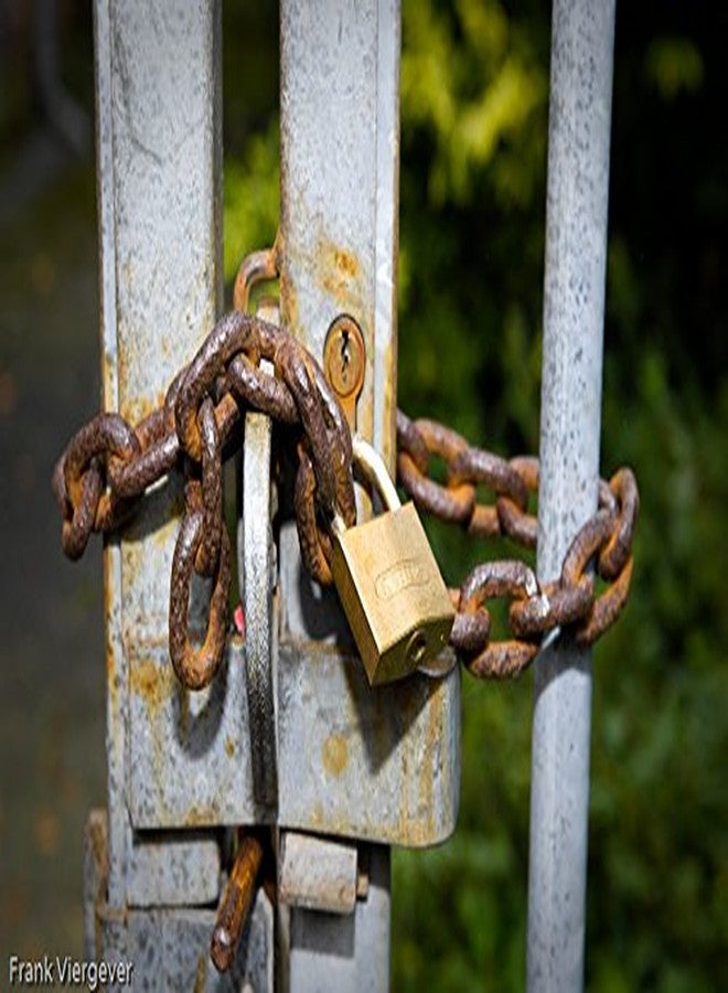 ABUS 55/60 Solid Brass Padlock with 2 Keys for School, Gym, 2 9/32in (60mm) Wide, Keyed Different - Image 2