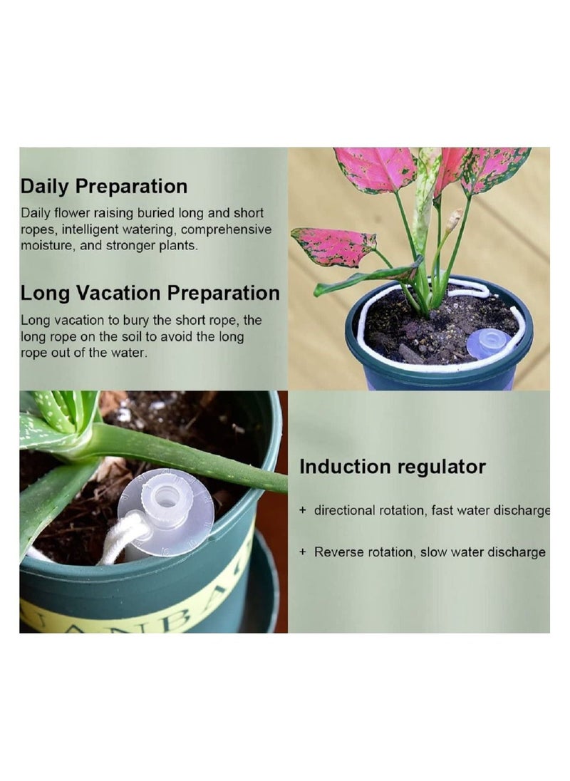 5 Pack Automatic Plant Watering Stakes Potted Plants Self Watering Spikes Plant Watering for Outdoor Indoor - Image 4