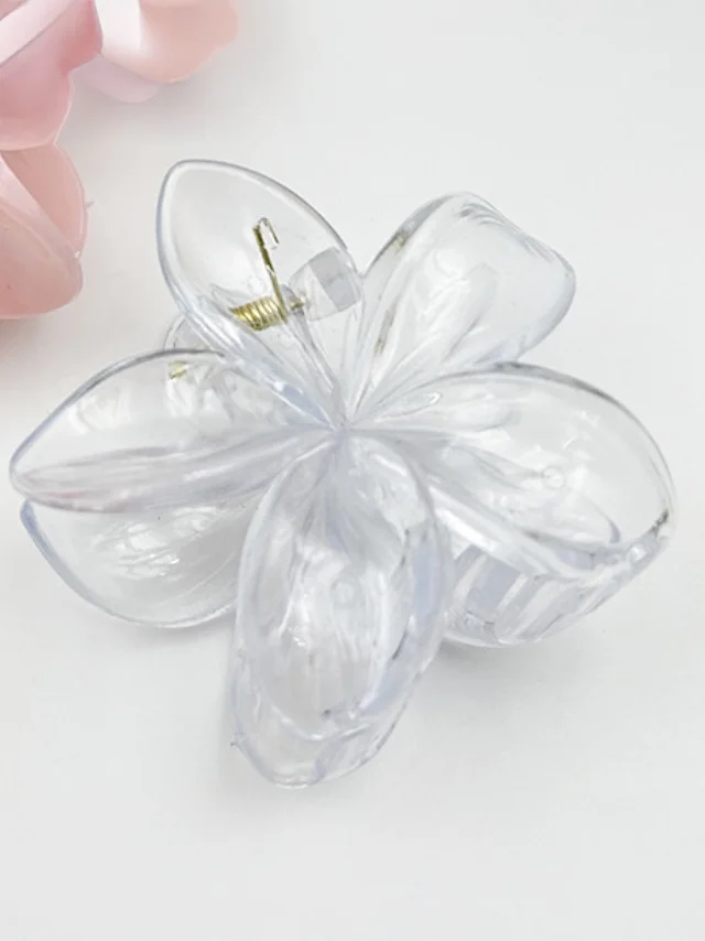 Styli Styli Set of 4 - Transparent Hair Claw Clip