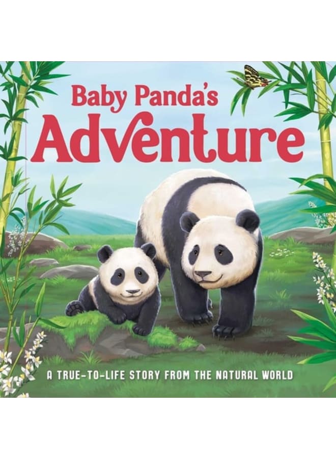 Baby Panda's Adventure