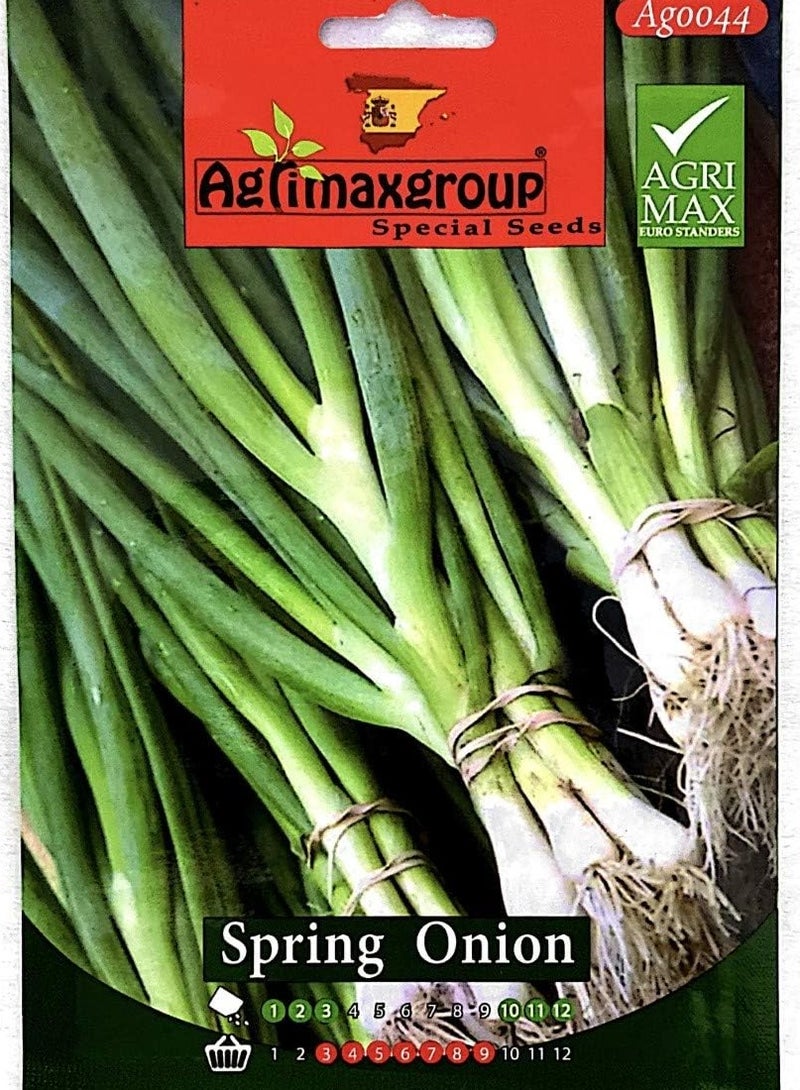 أجريماكس بذور البصل الأخضر عالية الجودة من Agrimaxgroup® - Image 2