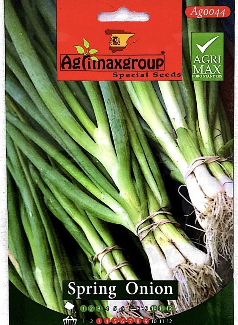 أجريماكس بذور البصل الأخضر عالية الجودة من Agrimaxgroup® - Image 1