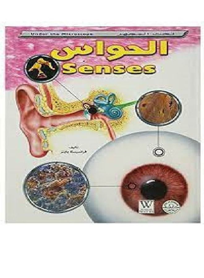 The senses (under the microscope) 
