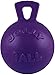Jolly Pets TugnToss Heavy Duty Dog Toy Ball with Handle 45 InchesSmall Purple - Image 3