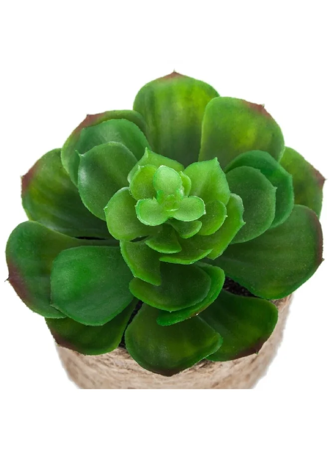 atmosphera Easy Maintenance Realistic Looking Decorative Artificial Plant with Pot Green and Beige 16 cm 160065