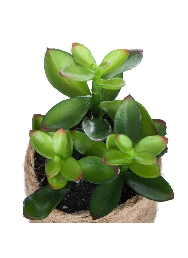 atmosphera Easy Maintenance Realistic Looking Decorative Artificial Plant with Pot Green and Beige 16 cm 160065  - Image 3