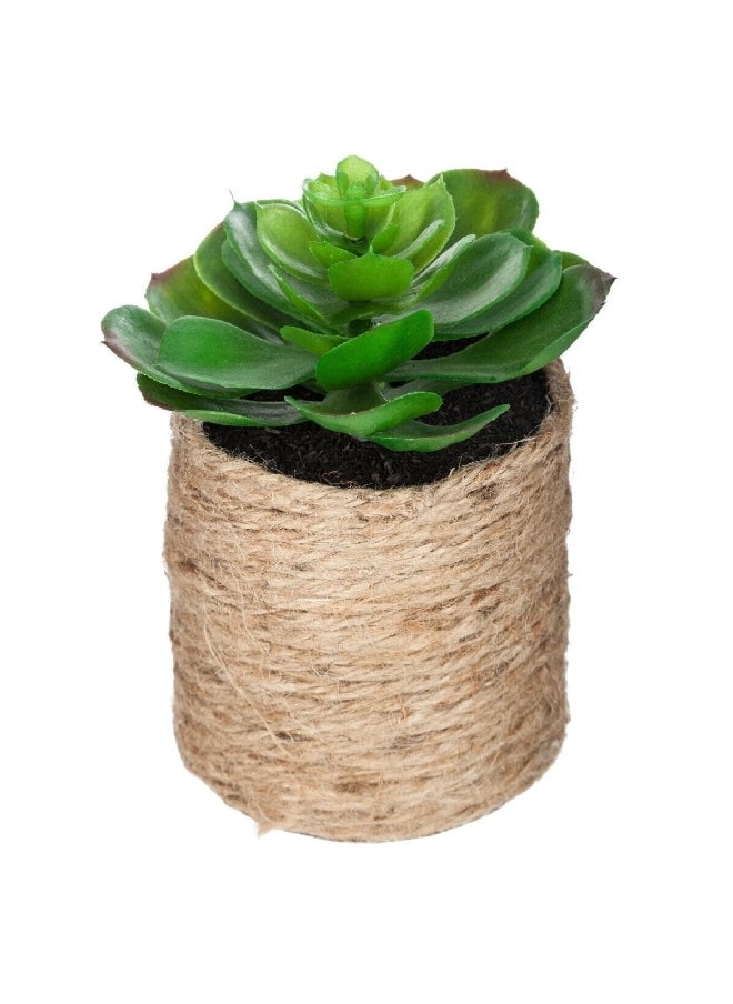 atmosphera Easy Maintenance Realistic Looking Decorative Artificial Plant with Pot Green and Beige 16 cm 160065  - Image 1