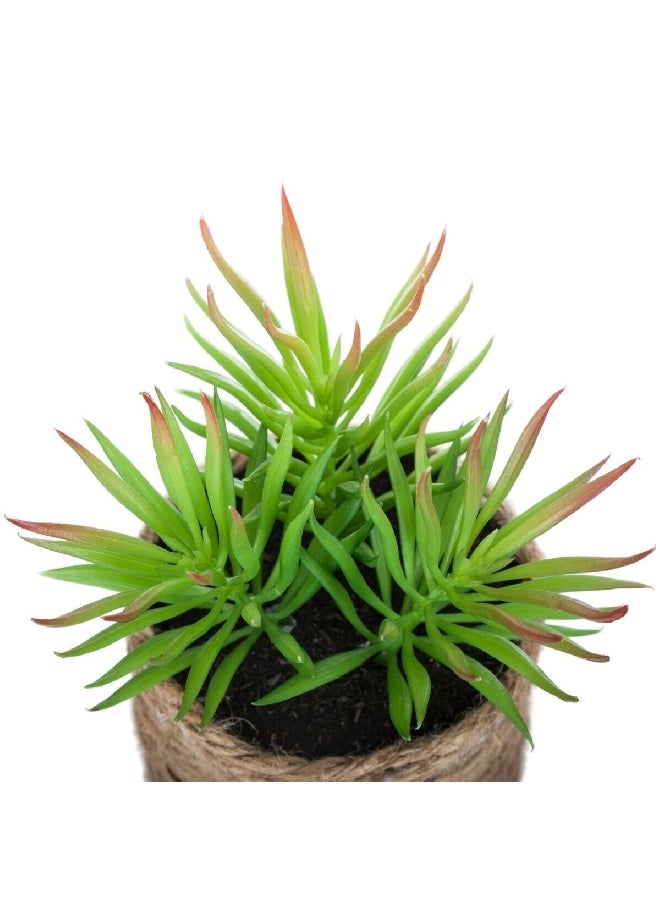 atmosphera Easy Maintenance Realistic Looking Decorative Artificial Plant with Pot Green and Beige 16 cm 160065  - Image 4