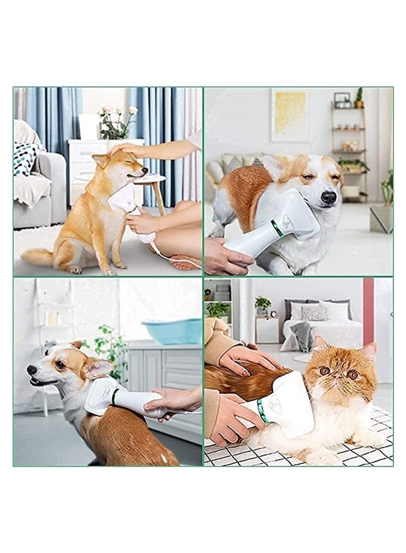 مجفف شعر لتنظيف الحيوانات الأليفة ، مجفف شعر محمول للقطط والكلاب ، درجة حرارة كومبو قابلة للتعديل ، فرشاة ناعمة ، مقص شعر صامت ، درجة حرارة قابلة للتعديل ، مجفف شعر - Image 3