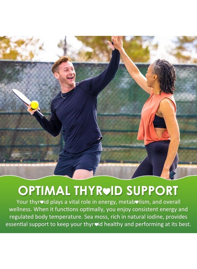 EnvyDeal Sea Moss Gummies - Irish Sea Moss Gummies for Adults & Kids - Advanced Superfood Seamoss Supplement with Organic Bladderwrack & Burdock Root Extract，ACV for Daily Immune, Gut Cleanse, Vegan, 60 Counts - Image 4