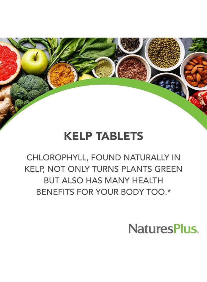 Nature's Plus ناتشرز بلس آيسلاندك كيلب - 150 ميكروغرام يود؛ 150 ملغ كيلب - 300 قرص نباتي - مكمل يود طبيعي - خالي من الغلوتين - 300 حصة - Image 3