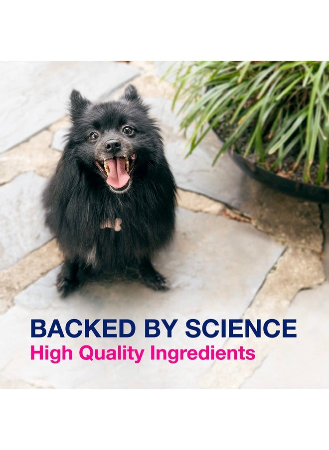 Nutramax Laboratories Proviable Digestive Health Supplement Multi-Strain Probiotics And Prebiotics For Dogs, With 7-Strains Of Bacteria, 60 Chewable Tablets  - Image 4
