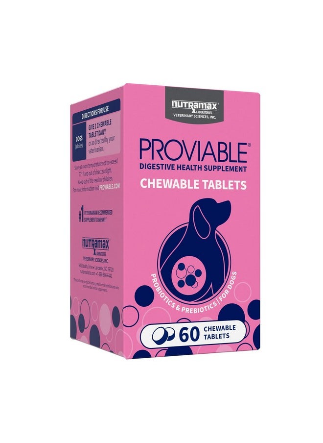 Nutramax Laboratories Proviable Digestive Health Supplement Multi-Strain Probiotics And Prebiotics For Dogs, With 7-Strains Of Bacteria, 60 Chewable Tablets  - Image 1