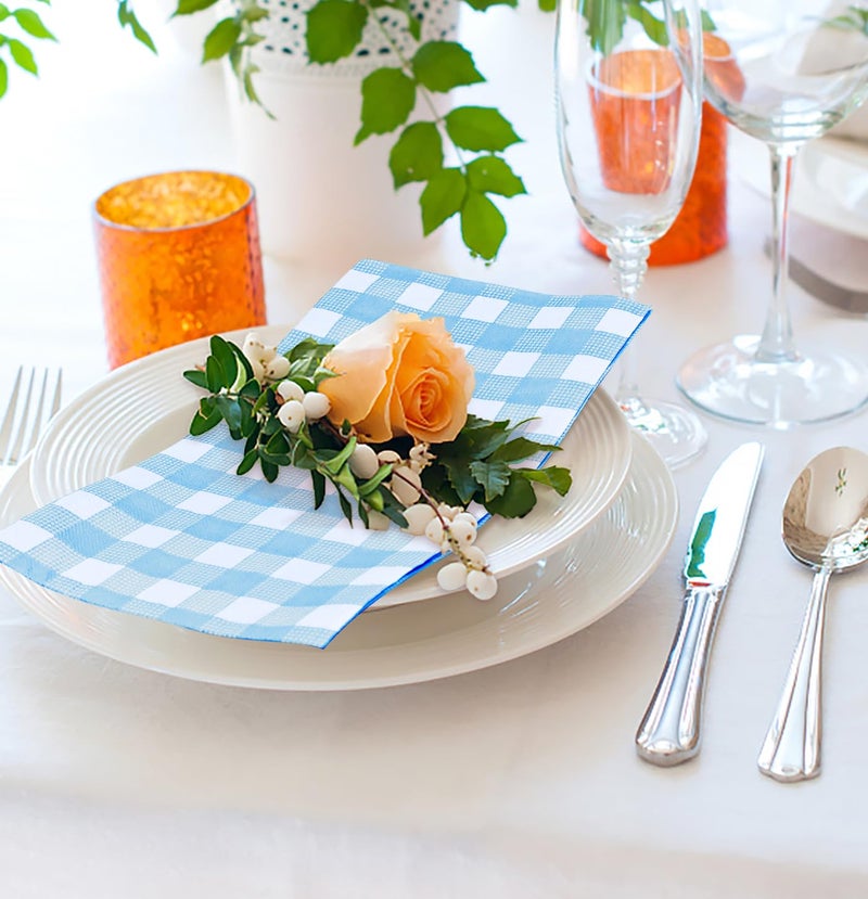 HEIPINIUYE 50 Pieces 2-ply Light Blue Gingham Napkins - Disposable Blue and White Checkered Napkins for Wedding  Birthday Party  Bathroom  Guest - Image 5