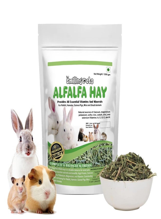 Smiling Pets Alfalfa Hay for Small Pets - High-Fat Natural Dried Hay for Juvenile Rabbits, Guinea Pigs, Hamsters, Mice & Small Animals - 1.2kg Pack - Image 1