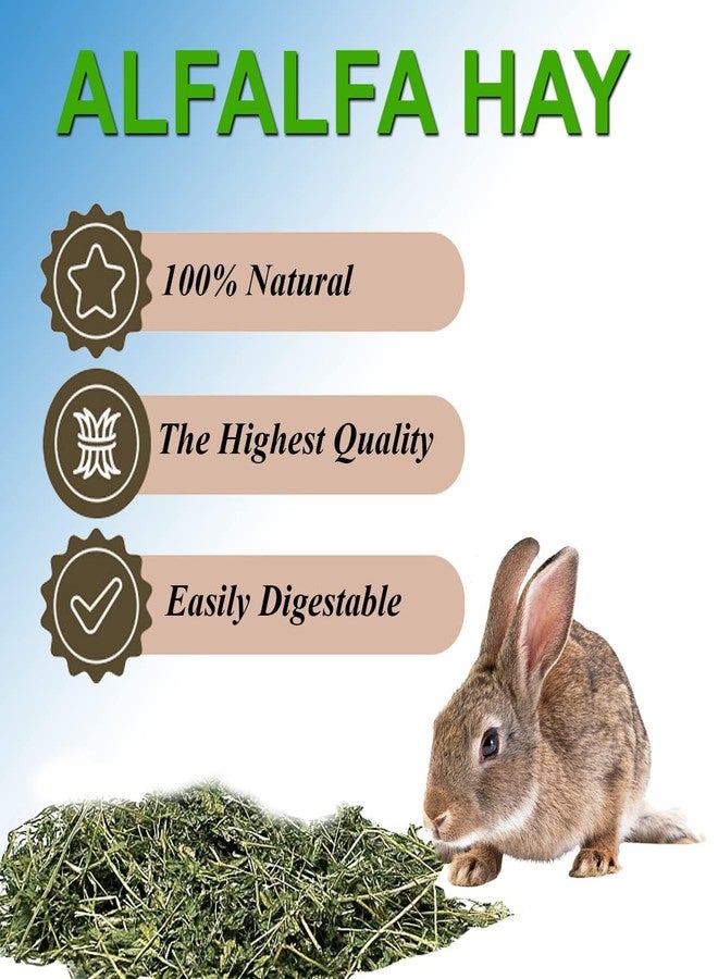 Smiling Pets Alfalfa Hay for Small Pets - High-Fat Natural Dried Hay for Juvenile Rabbits, Guinea Pigs, Hamsters, Mice & Small Animals - 1.2kg Pack - Image 5