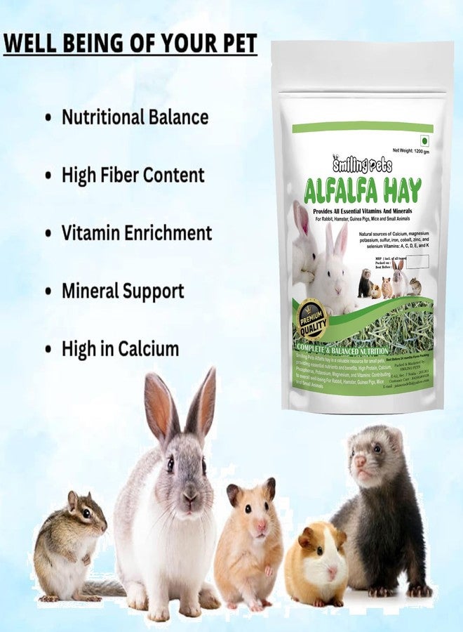 Smiling Pets Alfalfa Hay for Small Pets - High-Fat Natural Dried Hay for Juvenile Rabbits, Guinea Pigs, Hamsters, Mice & Small Animals - 1.2kg Pack - Image 2