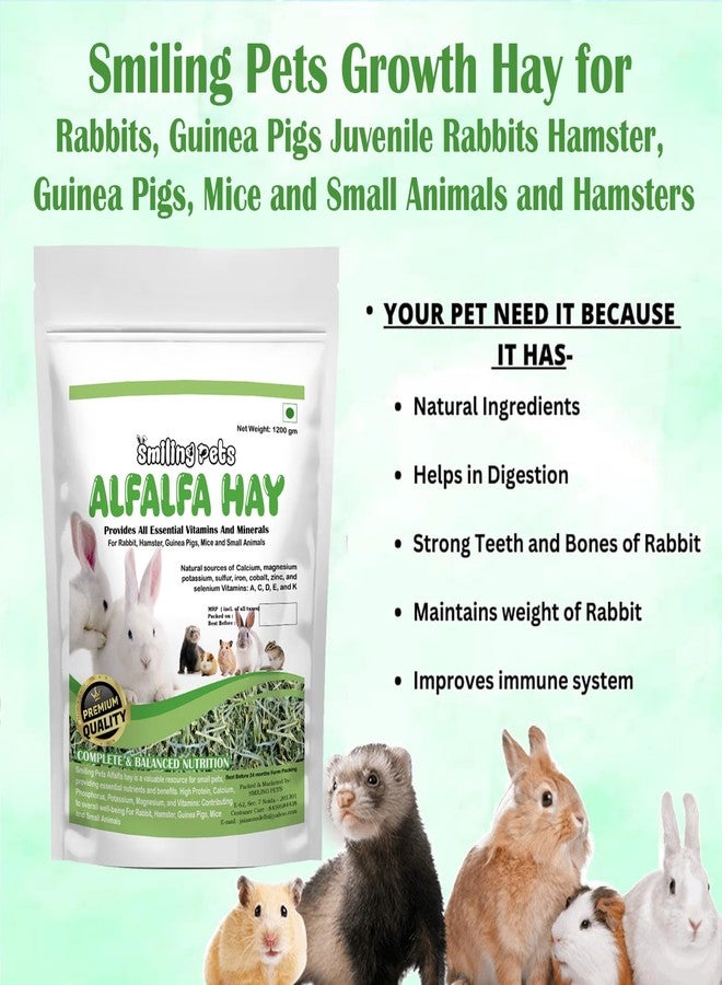 Smiling Pets Alfalfa Hay for Small Pets - High-Fat Natural Dried Hay for Juvenile Rabbits, Guinea Pigs, Hamsters, Mice & Small Animals - 1.2kg Pack - Image 4