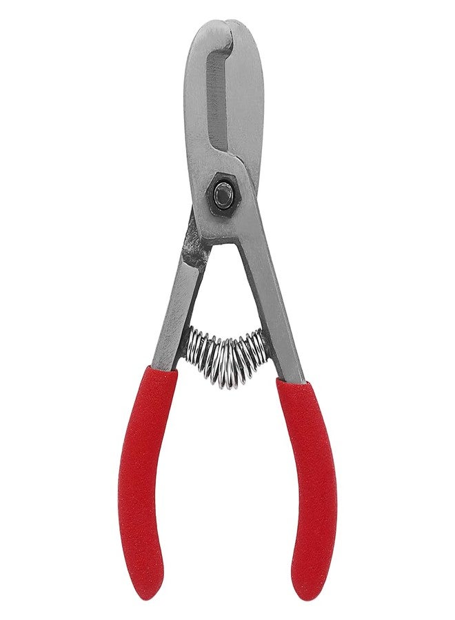 Zenport H325 Fruit Shears/Avocado Clippers, Forged Stainless Steel, 5.25-Inch Long - Image 2