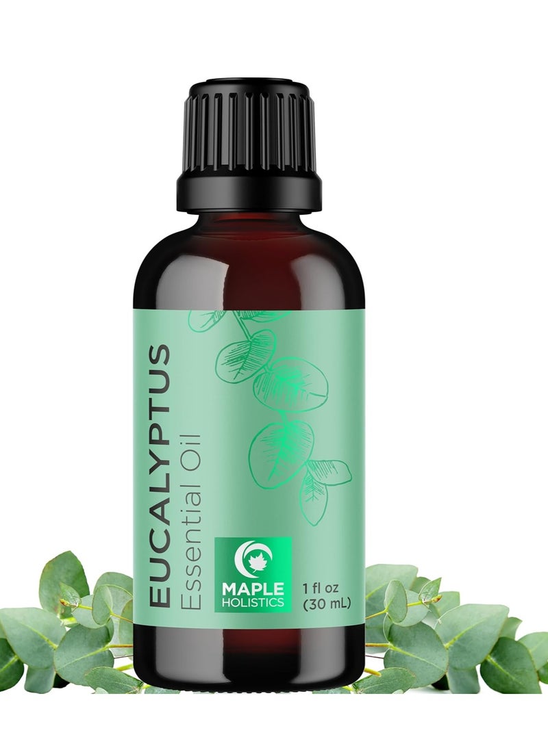 Pure Eucalyptus Essential Oil for Diffuser Hair Skin and Nails 1 fl oz - pzsku/ZE4DC325C986F308273BCZ/45/_/1740409367/bdd0c618-c28e-4c5e-b2b9-55e516ea785f