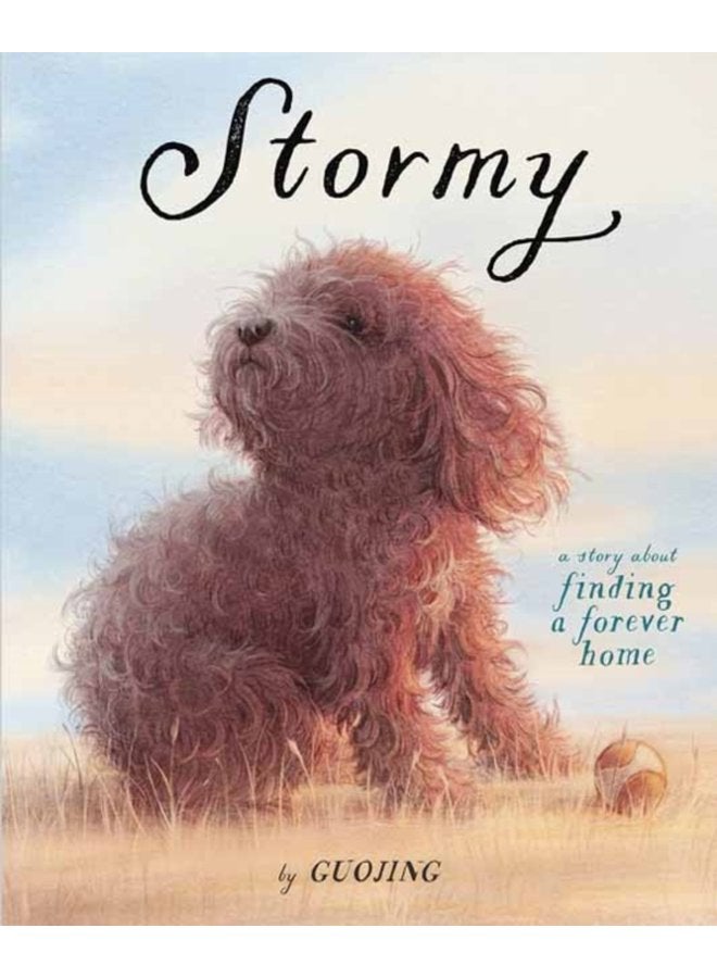 Stormy A Story About Finding a Forever Home - Hardback