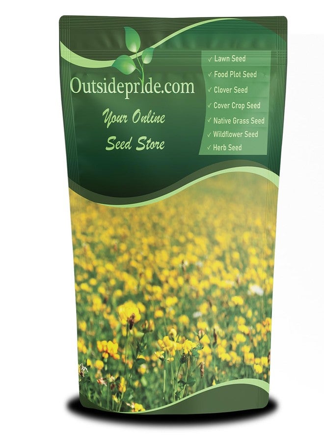Outsidepride Perennial Birdsfoot Trefoil Seed - 1 lb Nitrocoated, Inoculated, Winter Hardy, High Protein Forage Legume Seeds for Pasture, Hay, Silage Production & Livestock Grazing - Image 1