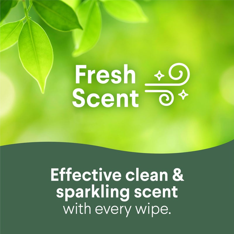 Clorox مناديل كلوركس المطهرة، مناديل تنظيف خالية من المبيض، مستلزمات منزلية، رائحة منعشة، غطاء محكم الرطوبة، 75 منديل، عبوة من 3 (تغليف جديد) - Image 3