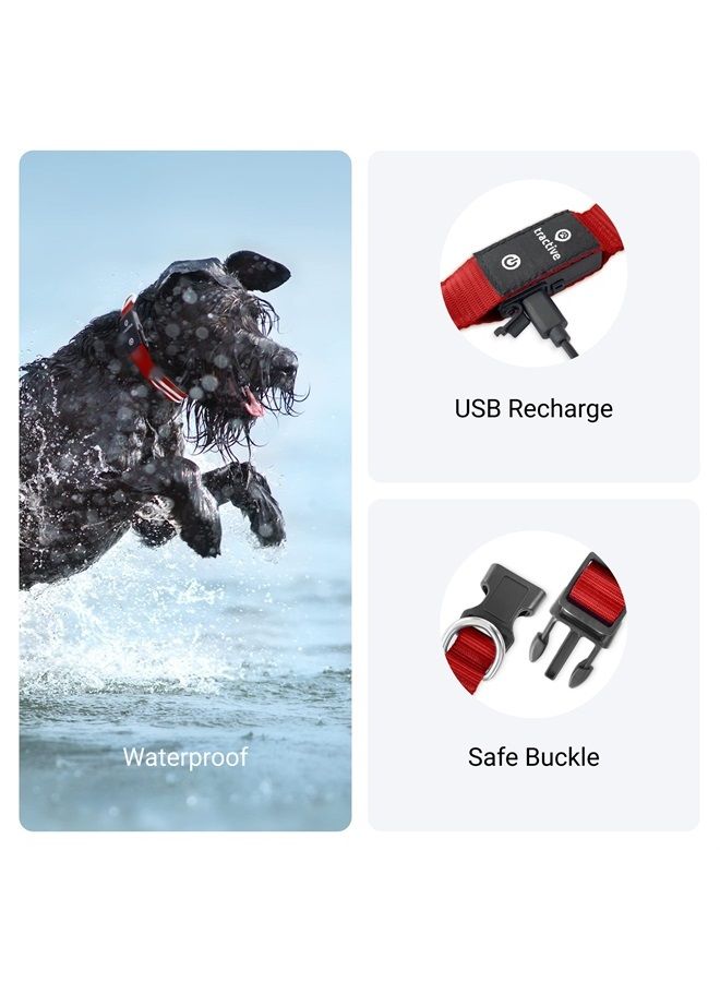 Tractive LED Light Up Dog Collar USB Rechargeable Waterproof (Red) - Image 2