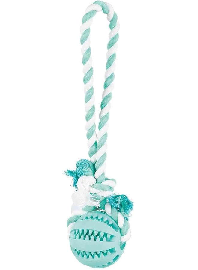 تريكسي كرة على حبل مطاط طبيعي قطر 7 سم 24 سم - Image 1