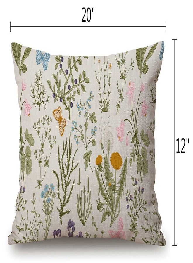 Solekla Vintage Garden Plants with Herbs Flowers Botanical Cotton Linen Decorative Throw Pillow Case Cushion Cover Pillowcase for Couch Sofa Bed,12 X 20 Inches - Image 2