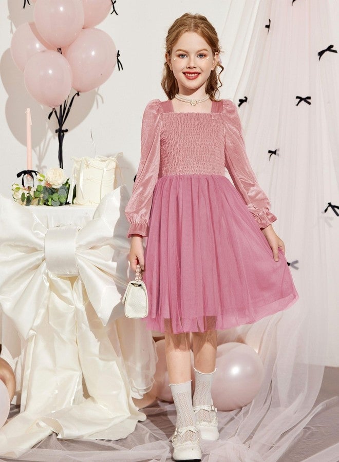 آرشنر فستان أرشينر للأطفال الصغار، مناسب للخريف، رسمي، عيد ميلاد، مناسب للمناسبات الخاصة، عيد الحب، مخملي، توتو، تول، بأكمام طويلة، فستان وردي للبنات الصغيرات، مقاس 6 - Image 4