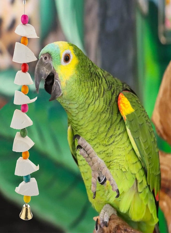 DQITJ Bird Cuttlebone Chew Toy, Natural Calcium Cuddle Bone Sharp Beaks Cage Toy for Parrot Budgie Conure Cockatiel (8 Pcs in a Bunch) - Image 2