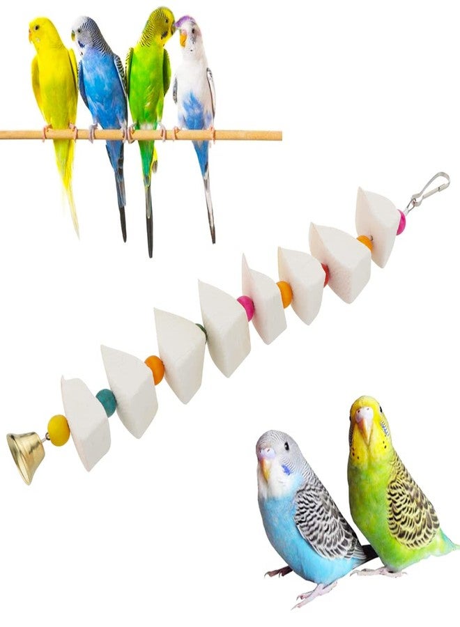 DQITJ Bird Cuttlebone Chew Toy, Natural Calcium Cuddle Bone Sharp Beaks Cage Toy for Parrot Budgie Conure Cockatiel (8 Pcs in a Bunch) - Image 1