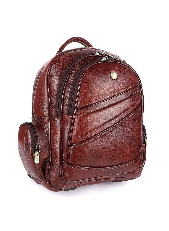 HAMMONDS FLYCATCHER HAMMONDS FLYCATCHER Men And Women Genuine Leather Laptop Backpack Bag & - Padded & Adjustable Shoulder Straps With Multiple Compartments And Pockets - Fits Upto 16 Inch Laptop/Macbook,20 Litre - Brown - Image 1