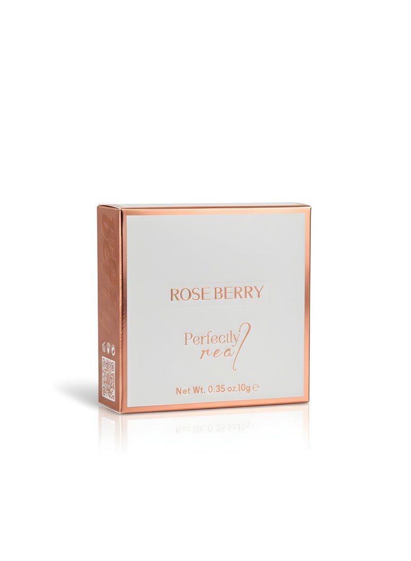 Rose Berry Pressed Powder Compact, Double Compact with Mirror and Sponge,10g, Shade 03 - Image 3