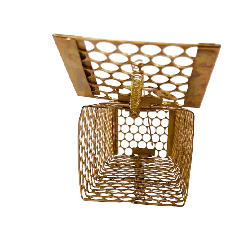 Krisah ® 2 Pieces Medium Size (21 X 8 X 7.5 cm) Rat/Mouse/Rodent Trap Cage 2 Rustic Copper, Medium - Image 5
