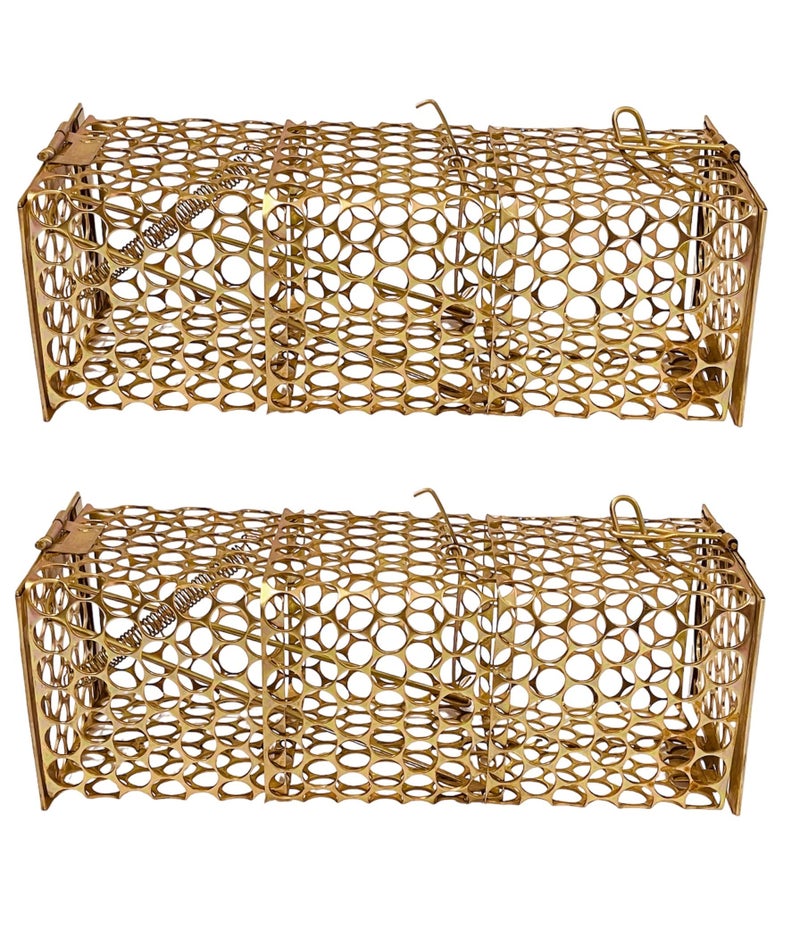 Krisah ® 2 Pieces Medium Size (21 X 8 X 7.5 cm) Rat/Mouse/Rodent Trap Cage 2 Rustic Copper, Medium - Image 1